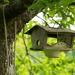 La Clairière Du Verbamont Lodge *