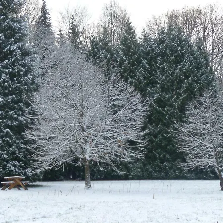 La Clairiere Du Verbamont