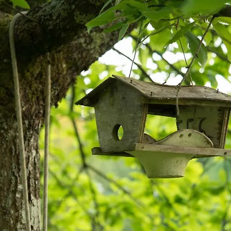 La Clairiere Du Verbamont Lodge *