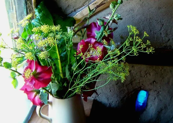 La Clairière Du Verbamont