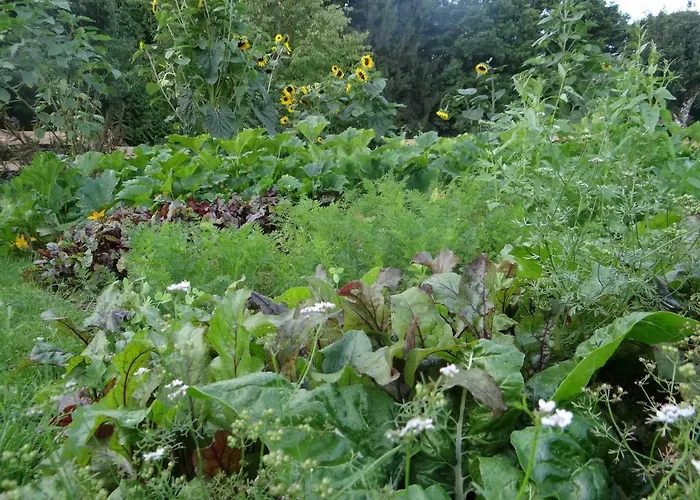 Lodge La Clairière Du Verbamont *