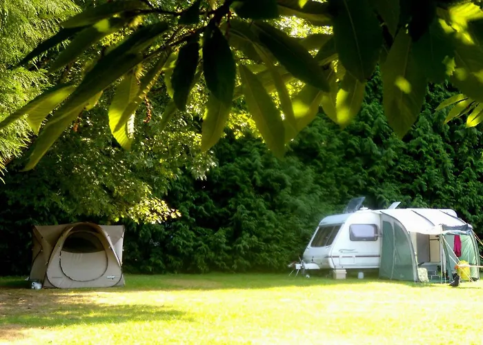 La Clairiere Du Verbamont Claudon