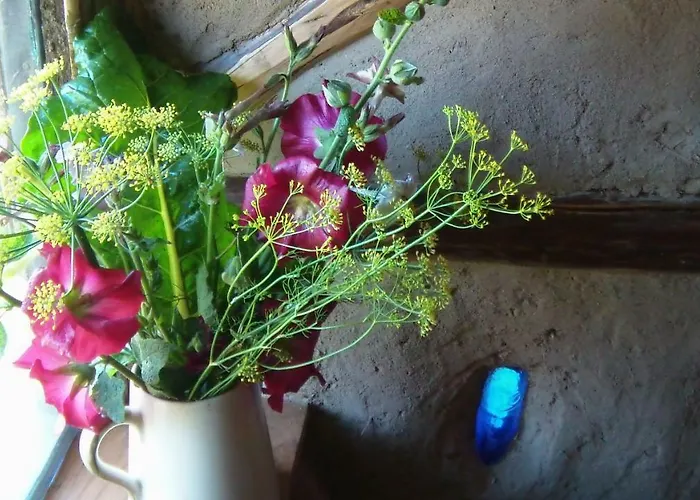 Lodge La Clairiere Du Verbamont Claudon