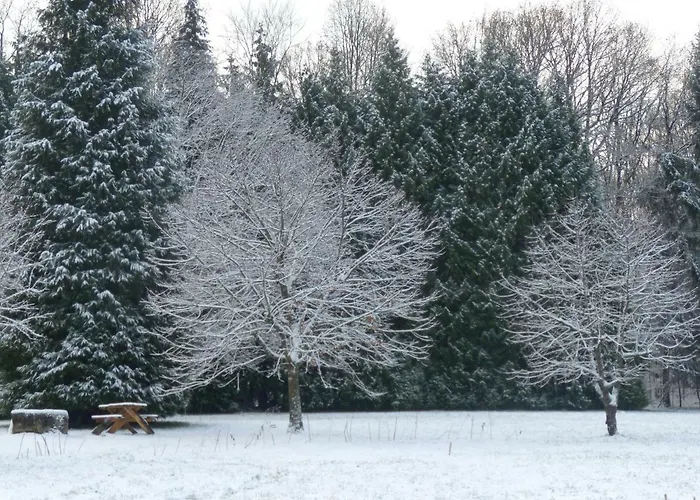 La Clairiere Du Verbamont