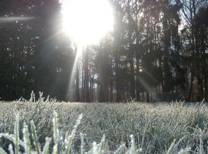 Chata La Clairiere Du Verbamont