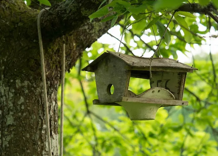 La Clairière Du Verbamont Lodge *
