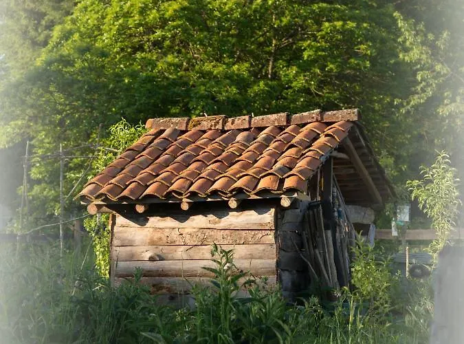 La Clairiere Du Verbamont